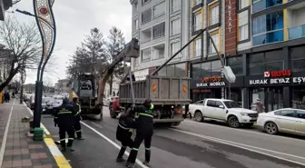 Vize'de okullar arası akıl ve zeka oyunları turnuvası yapıldı