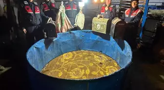 Aydın'da Horoz Dövüştürürken Suçüstü Yakalananlara Para Cezası