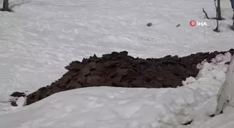 Beytüşşebap'ta ahırlarda zorlu kış mesaisi