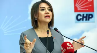 CHP Genel Başkan Yardımcısı Gamze Taşcıer: İlaç fiyatlandırmasında sabit euro kurunun artırılmaması krize yol açacak