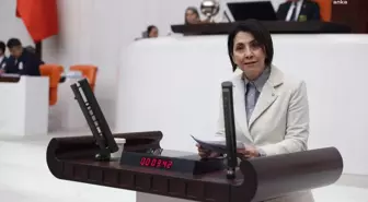 CHP Milletvekili Aylin Yaman: Sağlık sistemi sadece hekim sayısına endekslenmiştir