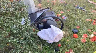 Trabzon'da Gürcistan plakalı tırın kaza yapması sonucu sebzeler yola savruldu