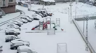 Erzurum'un Aşkale ilçesinde kar yağışı