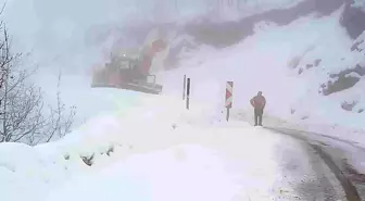 Muş-Mutki kara yolunda mahsur kalan 53 kişi kurtarıldı