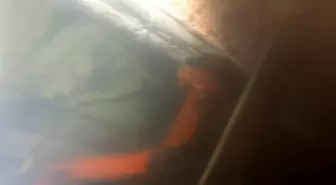 Marmara Denizi'nde batan gemide kayıp mürettebat aranıyor
