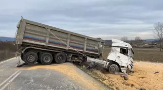 Sakarya'da kamyon tarlaya devrildi, sürücü yaralandı