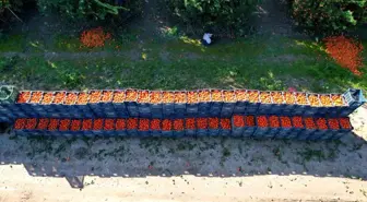 Adana'da Narenciye Üreticileri Karantina Önlemlerinin Artmasını Talep Ediyor