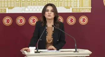 DEM Parti Grup Başkanvekili Gülistan Kılıç Koçyiğit, 8. Yargı Paketi'ni eleştirdi