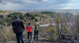 Bolu Yeniçağa'da çıkan anız yangını söndürüldü