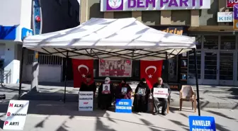 Muş'ta Aileler, Çocuklarının PKK Tarafından Kaçırılmasından DEM Parti'yi Sorumlu Tutuyor