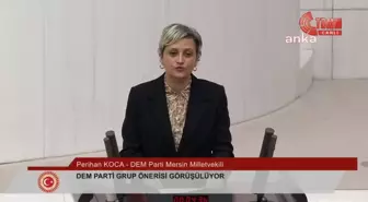 DEM Partisi Milletvekili Perihan Koca, AKP Milletvekili Fatma Öncü'ye el hareketi yaptı iddiası