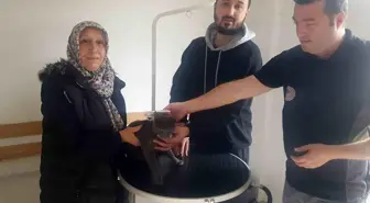 Düzce'de kaybolan kedi mikroçip sayesinde sahibine ulaştı