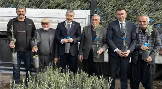 Osmaniye'de Tarım Arazilerinin Kullanımının Etkinleştirilmesi Projesi kapsamında 36 bin zeytin fidanı dağıtıldı