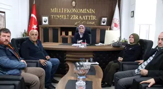 Düzce'de çeltik yetiştiriciliği için 875 bin TL'lik proje kabul edildi