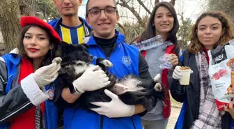 Muğla Uluslararası Gençlik Merkezi'nden Sokak Hayvanlarına Mama Kabı