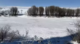 Ardahan'da Dondurucu Soğuklar Hayatı Olumsuz Etkiliyor