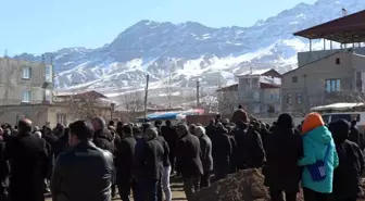 İzmir'de trafik kazasında hayatını kaybeden kardeşler Van'da toprağa verildi