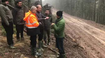 Bolu'nun Kıbrıscık ilçesinde orman yolları incelemesi yapıldı