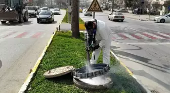 Çanakkale Belediyesi Sivrisinek ve Karasinekle Mücadele Çalışmalarına Devam Ediyor