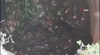 Diyarbakır'da 1 Milyon TL Değerinde Fiber Optik Kablo Ele Geçirildi