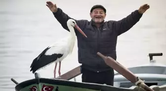 Yaren leylek 13. yılda da gelerek balıkçının kayığına kondu