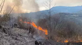 Artvin Hopa'da Orman Yangını: 1 Hektarlık Alan Zarar Gördü