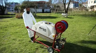 Ordu'da Kahverengi Kokarca İlaçlama Çalışmaları Devam Ediyor