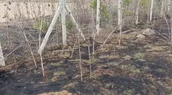 Bolu'da çıkan örtü yangını söndürüldü