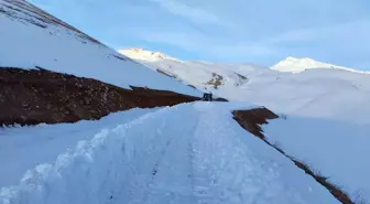 Şırnak'ta Faraşin Yaylası'nda Karla Mücadele Çalışmaları Devam Ediyor