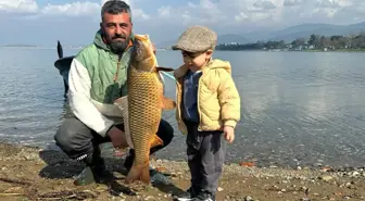 İznik Gölü'nde Sazan Bereketi