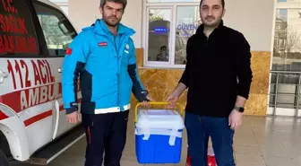 Trabzon'da Beyin Ölümü Gerçekleşen Hastanın Organları Nakledildi