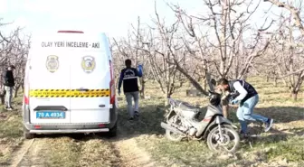 Karaman'da Elma Bahçesinde Ölü Bulunan Yaşlı Adam