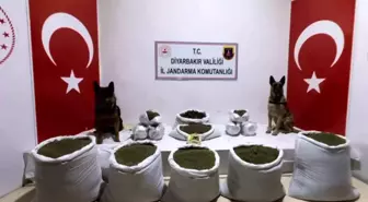 Lice'de 116 kilogram esrar ele geçirildi
