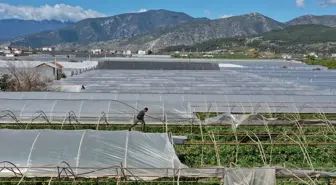 Antalya'da Hortum Nedeniyle Seralar Zarar Gördü