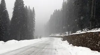 Ilgaz Dağı'nda Kar Yağışı