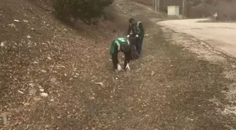 Tokat'ın Almus ilçesinde çevre temizliği gerçekleştirildi