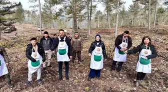 Altıntaş ve Dumlupınar Kaymakamları Karaçam Tohumu Ekimine Katıldı