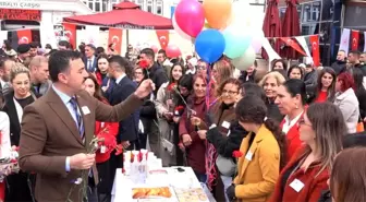 Tunceli'de 8 Mart Dünya Kadınlar Günü Etkinlikleri