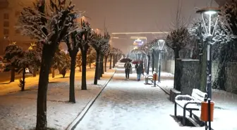 Bingöl ve çevresinde akşam saatlerinde kar yağışı etkili oldu