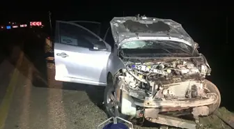 Elazığ'da otomobil kazasında sürücü hayatını kaybetti
