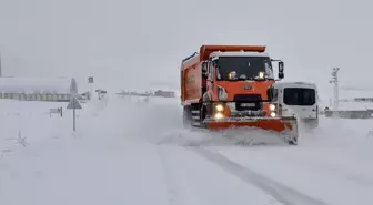 Erzurum ve Kars'ta Kar Yağışı Etkili Oldu