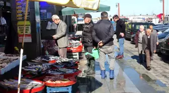 Trabzon'da Ramazan'da balık fiyatları dikkat çekiyor