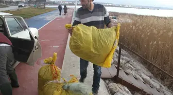 Beyşehir Gölü'nde balık avı yasağı başlıyor