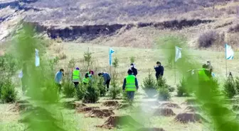 Çin'in İç Moğolistan Özerk Bölgesi'nde 110 milyon kez gönüllü ağaç dikimi gerçekleştirildi