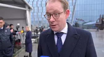 İsveç Dışişleri Bakanı, NATO Üsleri ve Nükleer Silah Konuşlandırılmasına Karşı