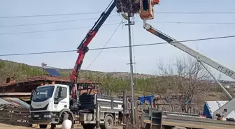 Sinop'ta leylekler için yapay yuvalar yerleştirildi