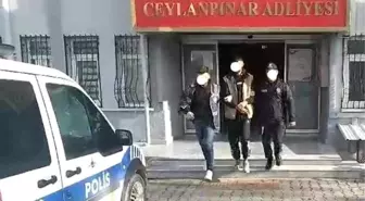 Şanlıurfa'da 21 Yıl Hapis Cezası Olan Şahıs Yakalandı