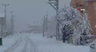 Erken göçen leyleğe kar sürprizi