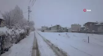 Erken göçen leyleğe kar sürprizi