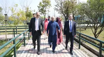 TİKA, Pakistan'da Ramazan Ayında Gıda Yardımı Yapacak